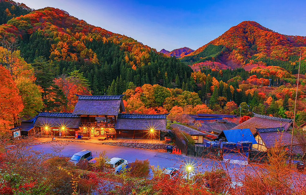 全景