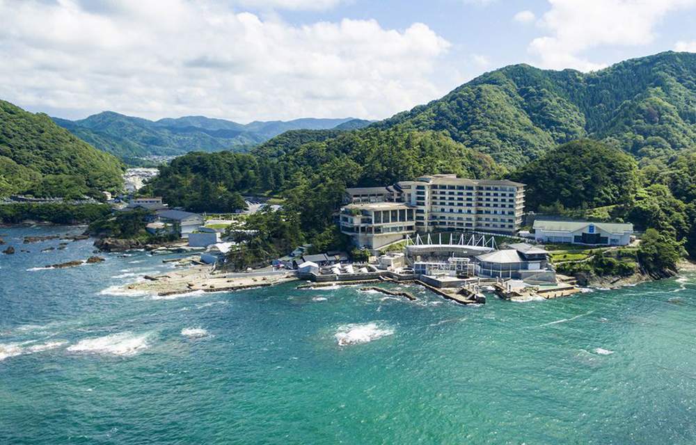 全景
